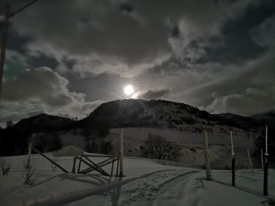 Storjord Farmstay Ranchhouse Kvaloya Eksteriør billede
