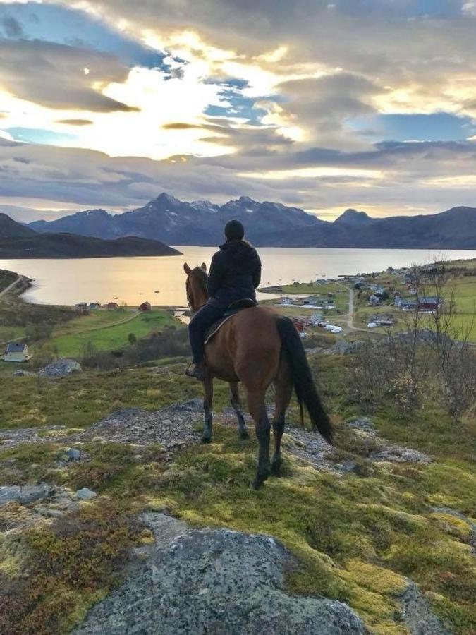 Storjord Farmstay Ranchhouse Kvaloya Eksteriør billede