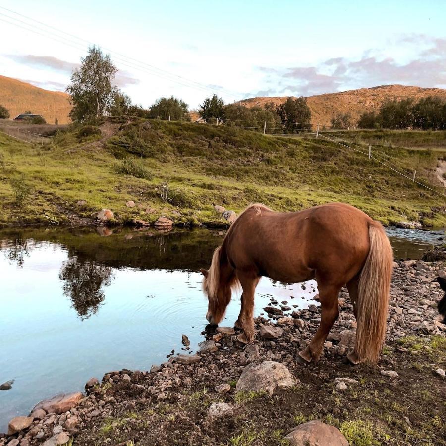 Storjord Farmstay Ranchhouse Kvaloya Eksteriør billede