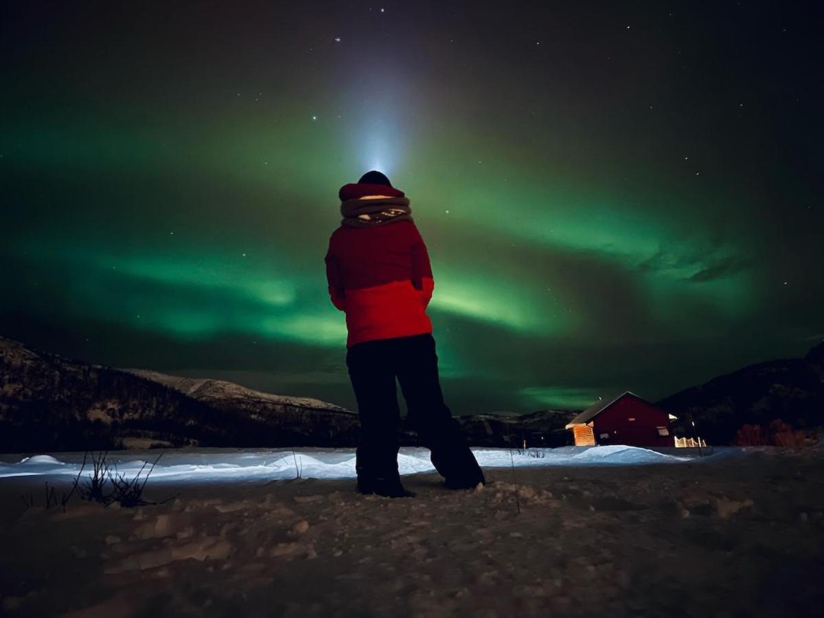 Storjord Farmstay Ranchhouse Kvaloya Eksteriør billede