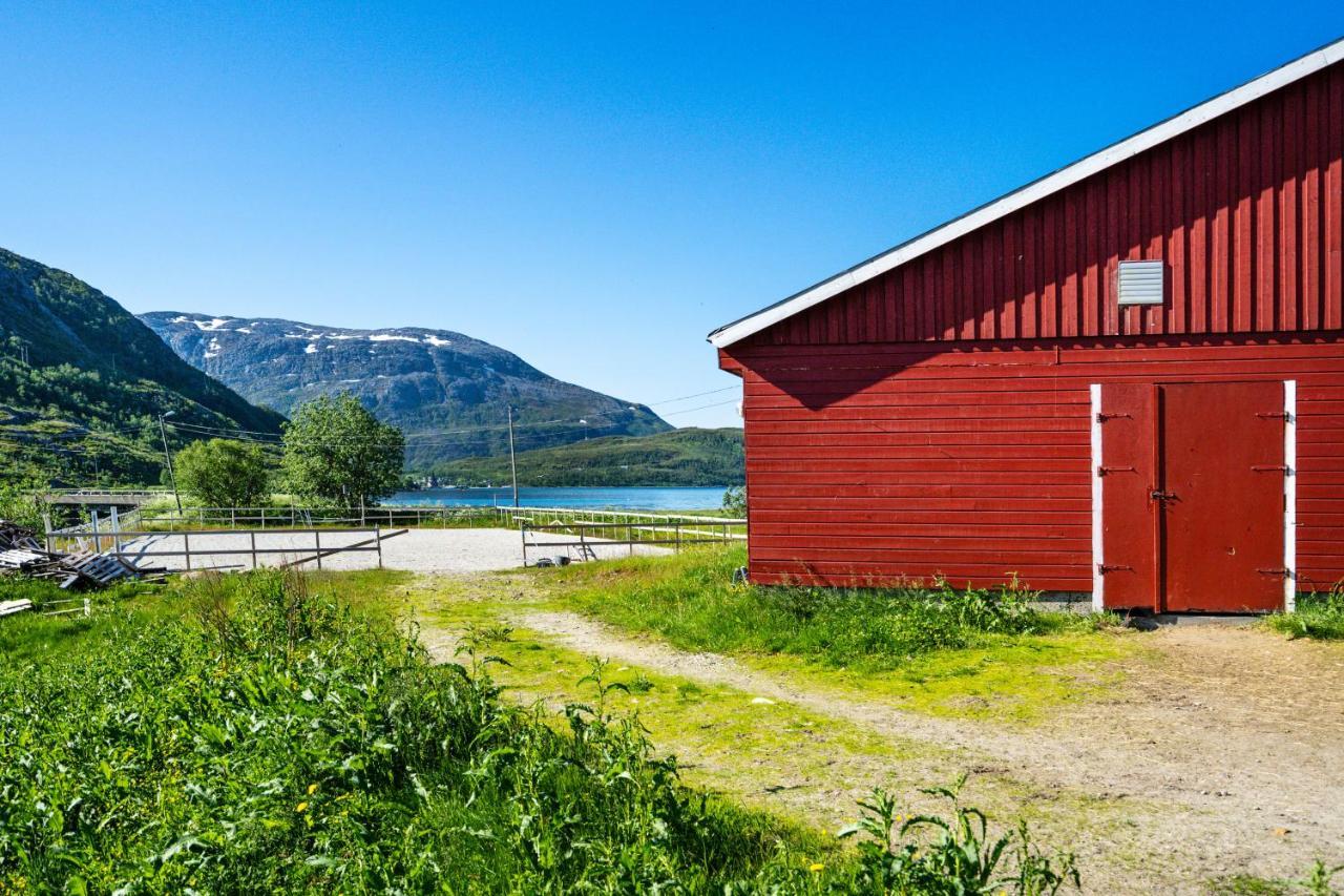 Storjord Farmstay Ranchhouse Kvaloya Eksteriør billede