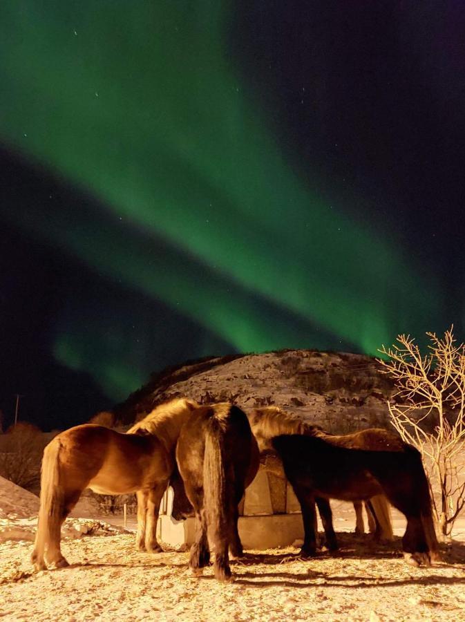 Storjord Farmstay Ranchhouse Kvaloya Eksteriør billede