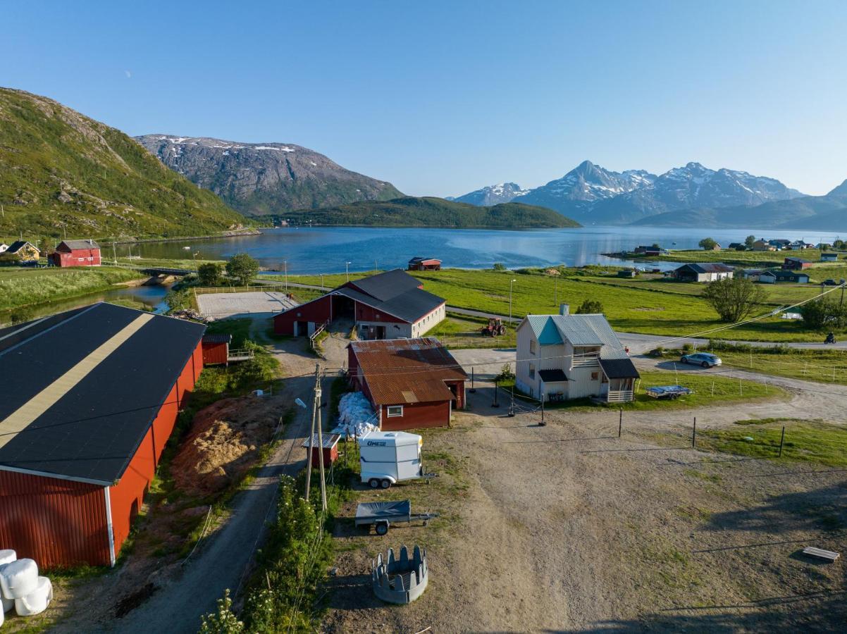 Storjord Farmstay Ranchhouse Kvaloya Eksteriør billede
